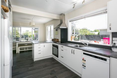 Photo of property in 411 Hastings Street South, Akina, Hastings, 4122