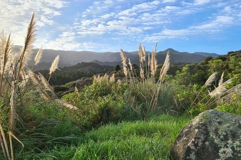 Photo of property in 1830 Colville Road, Amodeo Bay, Coromandel, 3584