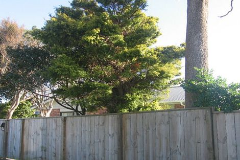 Photo of property in 97 Kings Crescent, Hutt Central, Lower Hutt, 5010