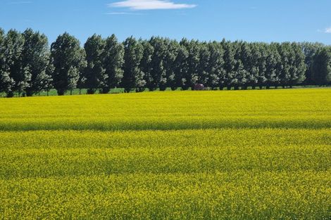 Photo of property in 247 Mahaki Road, Dyerville, Martinborough, 5781