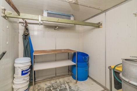 Photo of property in 212 Black Jack Road, Kuaotunu, Whitianga, 3592