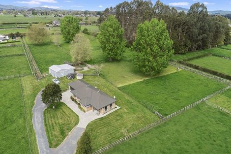 Photo of property in 54 Peake Road, Cambridge, Hamilton, 3283