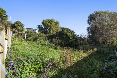 Photo of property in 129 Daniell Street, Newtown, Wellington, 6021