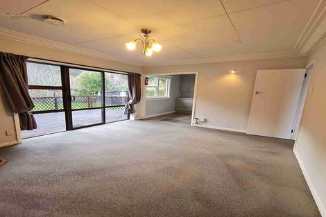 Photo of property in 117 Norwood Street, Normanby, Dunedin, 9010