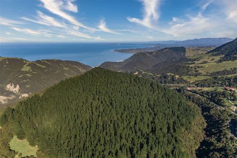 Photo of property in 184 Blue Duck Valley Road, Seaward Valley, Kaikoura, 7371