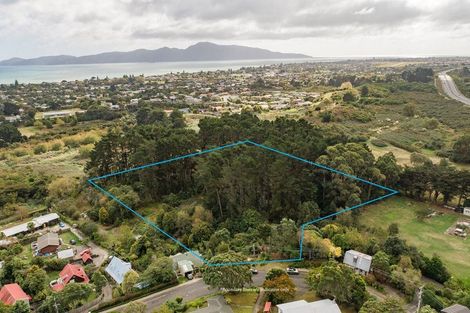 Photo of property in 63 Leinster Avenue, Raumati South, Paraparaumu, 5032