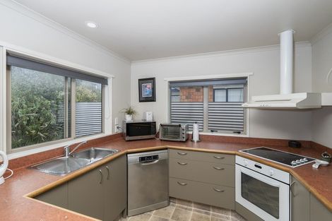 Photo of property in 157a Vogel Street, Roslyn, Palmerston North, 4414