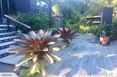 Photo of property in 709a South Titirangi Road, Titirangi, Auckland, 0604