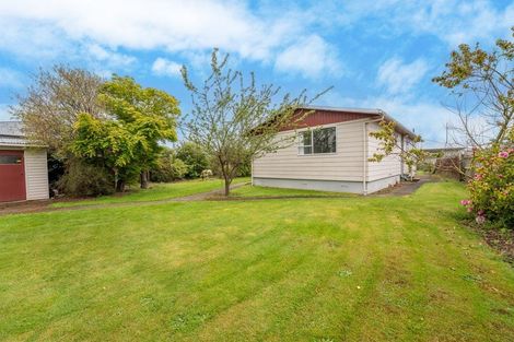 Photo of property in 17 Connolly Street, Geraldine, 7930