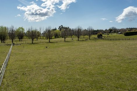 Photo of property in 310c Porangahau Road, Waipukurau, 4282