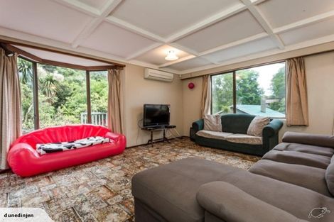 Photo of property in 36 Littlebourne Road, Roslyn, Dunedin, 9010