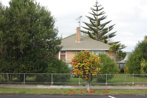 Photo of property in 111 Lowe Avenue, Thames, 3500