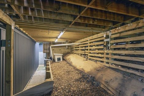 Photo of property in 3 Selleck Street, Mount Pleasant, Christchurch, 8081