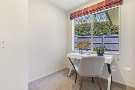 Photo of property in 14b Karetu Road, Greenlane, Auckland, 1051