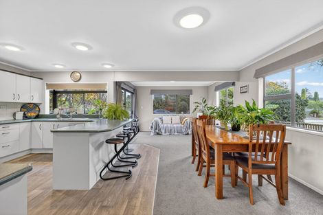 Photo of property in 14 Lindale Street, Morrinsville, 3300