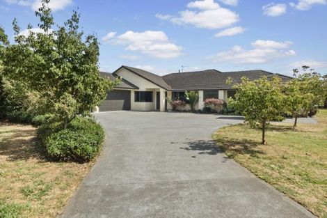 Photo of property in 3 Brighton Grove, Newstead, Hamilton, 3286