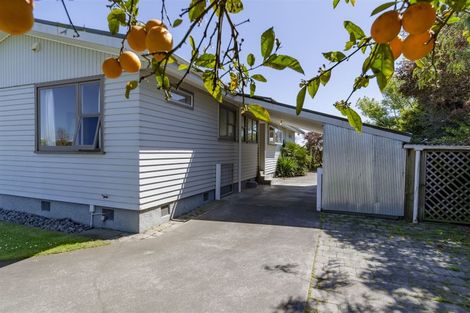 Photo of property in 33 Frickleton Street, Taradale, Napier, 4112