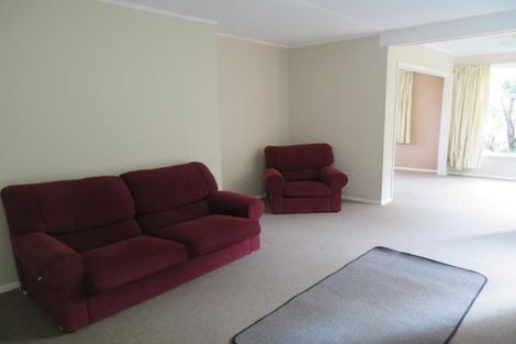 Photo of property in 33 Cheshire Street, Wilton, Wellington, 6012