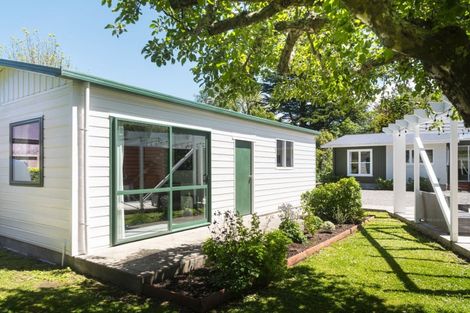 Photo of property in 13 Mole Street, Greytown, 5712