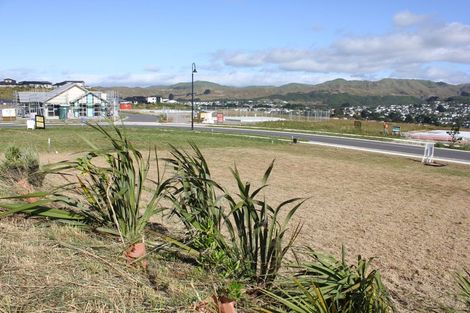 Photo of property in 207 John Burke Drive, Aotea, Porirua, 5024