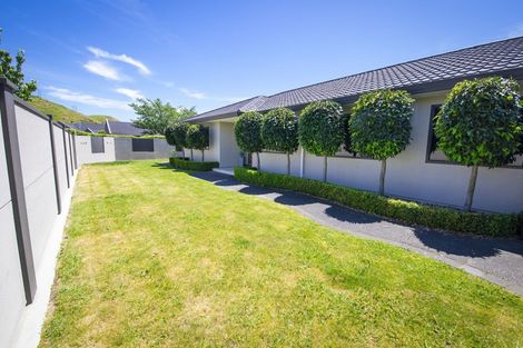 Photo of property in 9 Pinotage Drive, Greenmeadows, Napier, 4112