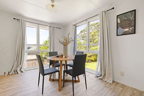 Photo of property in 17 Amethyst Place, Chartwell, Hamilton, 3210