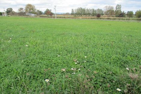 Photo of property in 6 Mellow Road, Ohaupo, 3881