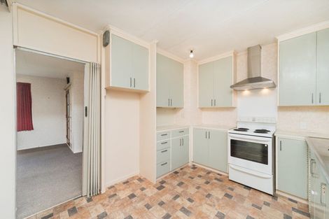 Photo of property in 144 Limbrick Street, Terrace End, Palmerston North, 4410