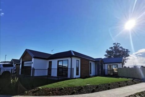 Photo of property in 12 Manakura Street, Avonhead, Christchurch, 8042