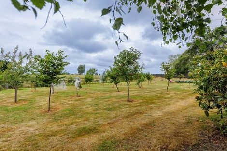 Photo of property in 302 Timaru Road, Waimate, 7978
