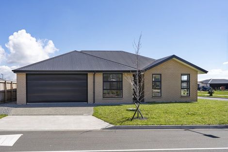 Photo of property in 50 Ascot Street, Appleby, Richmond, 7020