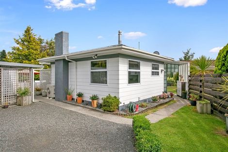 Photo of property in 118 Tirau Street, Putaruru, 3411