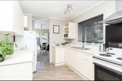 Photo of property in 43 Lewis Street, Glenview, Hamilton, 3206