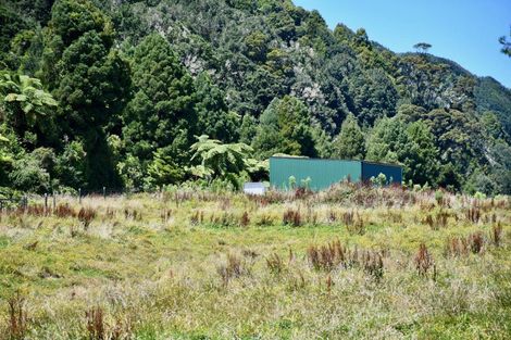 Photo of property in 216 Kongahu Swamp Road, Little Wanganui, Karamea, 7893