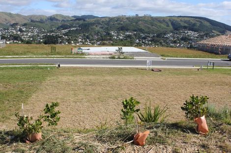 Photo of property in 207 John Burke Drive, Aotea, Porirua, 5024