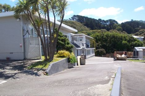 Photo of property in 327 Adelaide Road, Newtown, Wellington, 6021