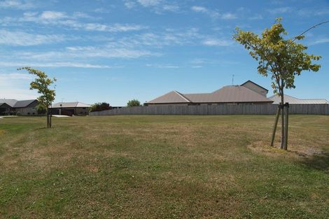 Photo of property in 8 Torbay Avenue, Huntingdon, Ashburton, 7774