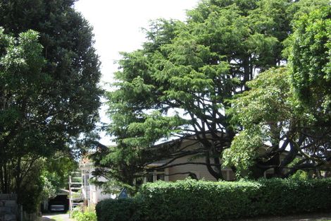 Photo of property in 52 Lloyd Avenue, Mount Albert, Auckland, 1025