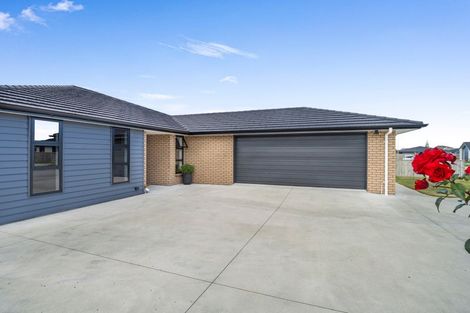 Photo of property in 46 Tawhero Street, Gonville, Whanganui, 4501