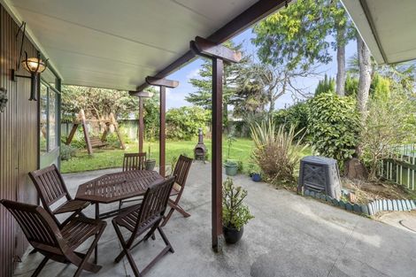 Photo of property in 41 Marlborough Street, Levin, 5510