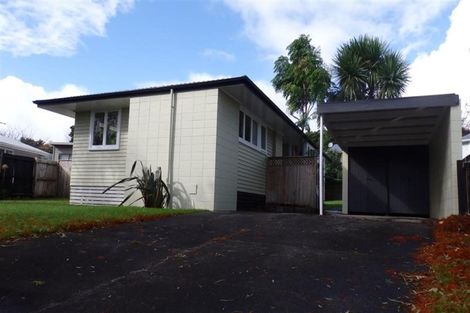 Photo of property in 19 Matai Street, Waiuku, 2123