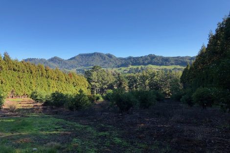 Photo of property in 113 Tanners Point Road, Tanners Point, Katikati, 3177