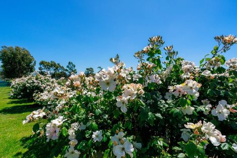 Photo of property in 136 Hardings Road, Riverlands, Blenheim, 7274