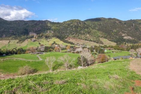 Photo of property in 78 Packtrack Road, Thames, 3577