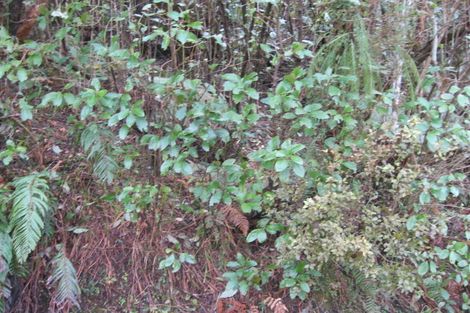 Photo of property in 54 Pitt Street, Runanga, 7803