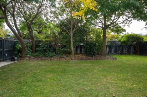 Photo of property in 21 Monro Street, Blenheim, 7201