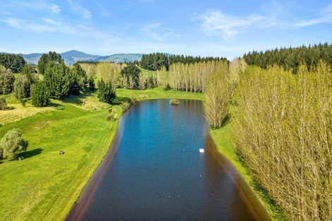 Photo of property in 253 Taylors Road, Otaki, 5583