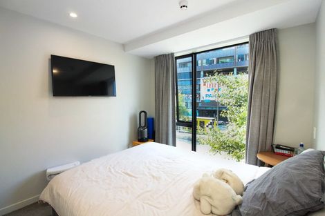 Photo of property in Vsp South, 105/168 Victoria Street, Te Aro, Wellington, 6011