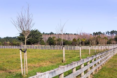 Photo of property in 143 Underhill Road, Woodside, Greytown, 5794