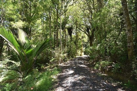 Photo of property in 435 Heatley Road, Whakapirau, 0583